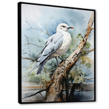Seagull Coastal Guardian On Branch - Seagull Wall Art Prints