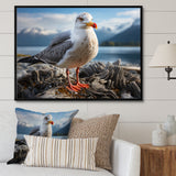Seagull Portrait On Rock - Seagull Home Decor Art