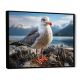 Seagull Portrait On Rock - Seagull Home Decor Art