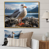 Seagull Portrait On Rock - Seagull Home Decor Art