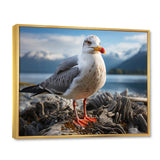 Seagull Portrait On Rock - Seagull Home Decor Art