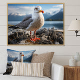 Seagull Portrait On Rock - Seagull Home Decor Art