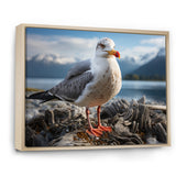 Seagull Portrait On Rock - Seagull Home Decor Art