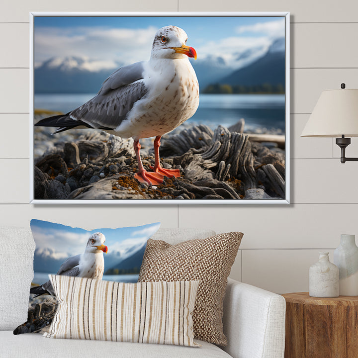 Seagull Portrait On Rock - Seagull Home Decor Art