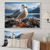 Seagull Portrait On Rock - Seagull Home Decor Art