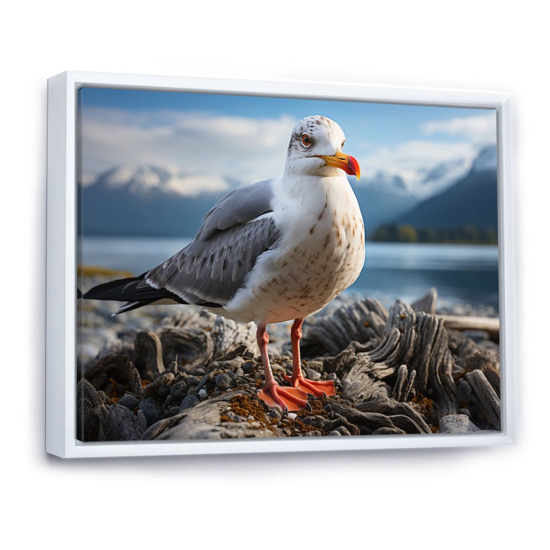 Seagull Portrait On Rock - Seagull Home Decor Art