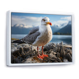 Seagull Portrait On Rock - Seagull Home Decor Art