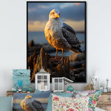 Seagull Vibrant Portrait On Rock - Seagull Living Room Wall Art