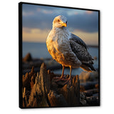 Seagull Vibrant Portrait On Rock - Seagull Living Room Wall Art