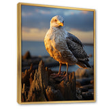 Seagull Vibrant Portrait On Rock - Seagull Living Room Wall Art