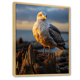 Seagull Vibrant Portrait On Rock - Seagull Living Room Wall Art