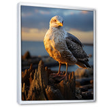 Seagull Vibrant Portrait On Rock - Seagull Living Room Wall Art