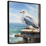 Seagull In Repose At Beach - Seagull Wall Art Prints