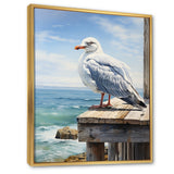 Seagull In Repose At Beach - Seagull Wall Art Prints