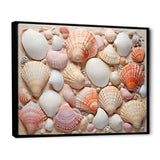 Seashell Contemporary Collage - Seashell Canvas Wall Art