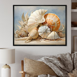 Seashells Contemporary Collage - Seashell Canvas Wall Art