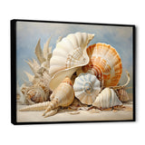 Seashells Contemporary Collage - Seashell Canvas Wall Art