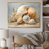 Seashells Contemporary Collage - Seashell Canvas Wall Art