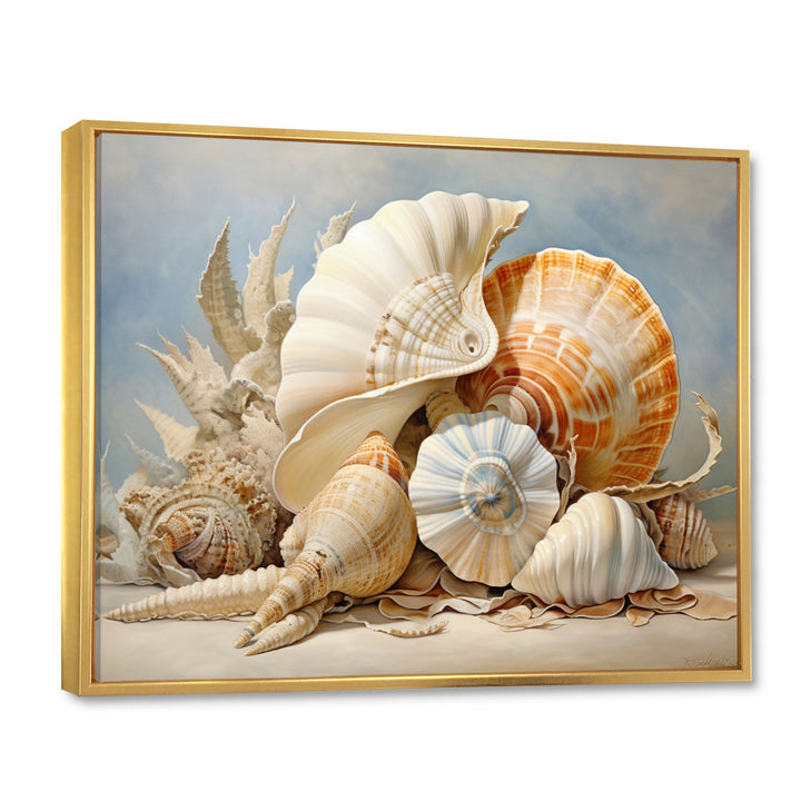 Seashells Contemporary Collage - Seashell Canvas Wall Art