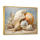 Seashells Contemporary Collage - Seashell Canvas Wall Art