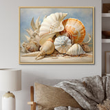 Seashells Contemporary Collage - Seashell Canvas Wall Art