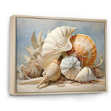 Seashells Contemporary Collage - Seashell Canvas Wall Art