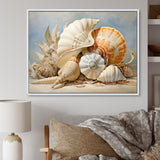 Seashells Contemporary Collage - Seashell Canvas Wall Art