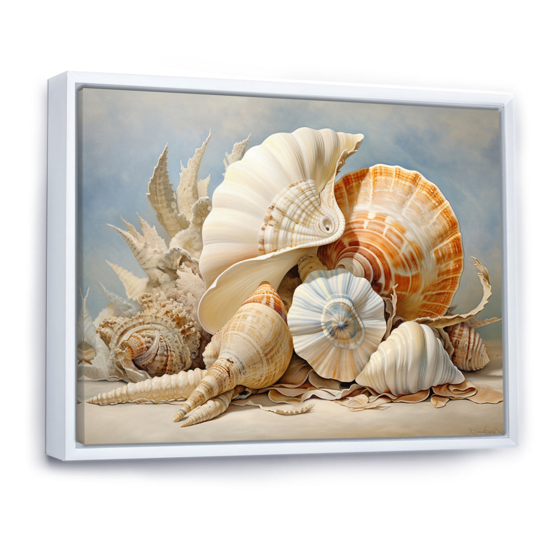 Seashells Contemporary Collage - Seashell Canvas Wall Art