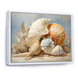 Seashells Contemporary Collage - Seashell Canvas Wall Art