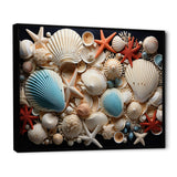 Seashell Collage - Seashell Framed Canvas Art