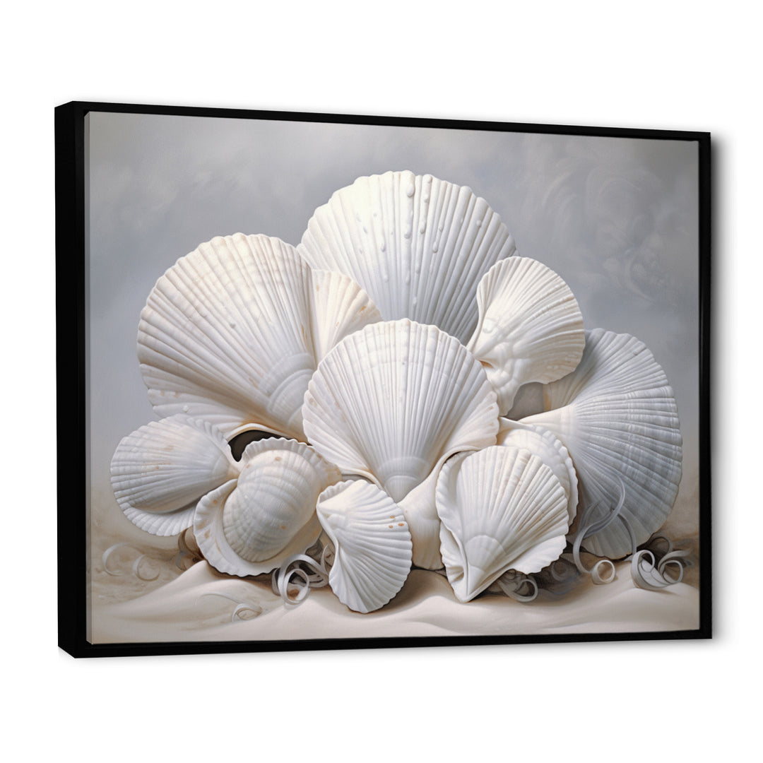 Monochromatic White Seashells - Seashell Home Decor Art