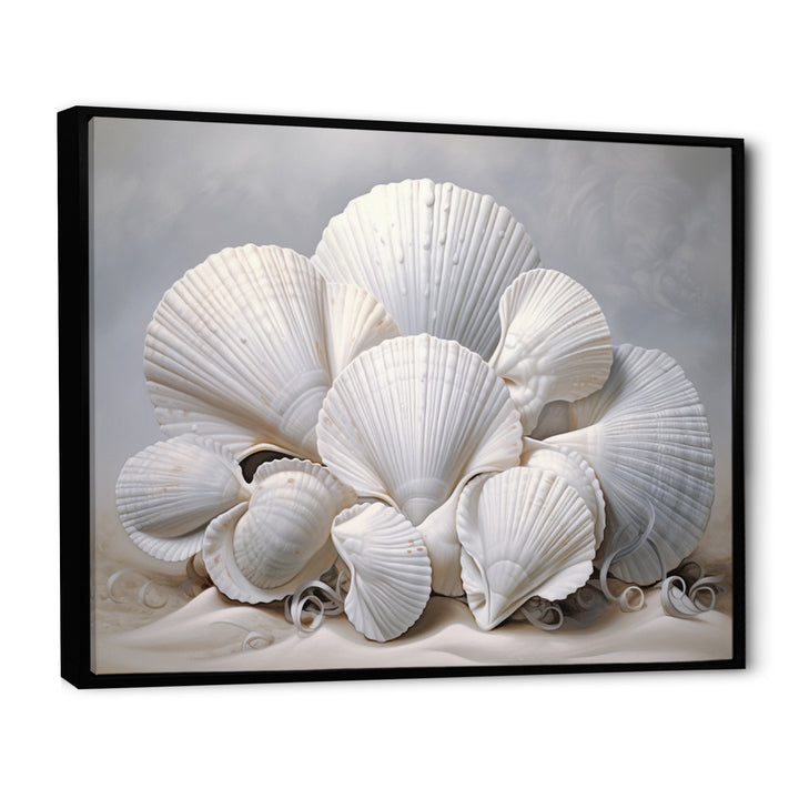Monochromatic White Seashells - Seashell Home Decor Art