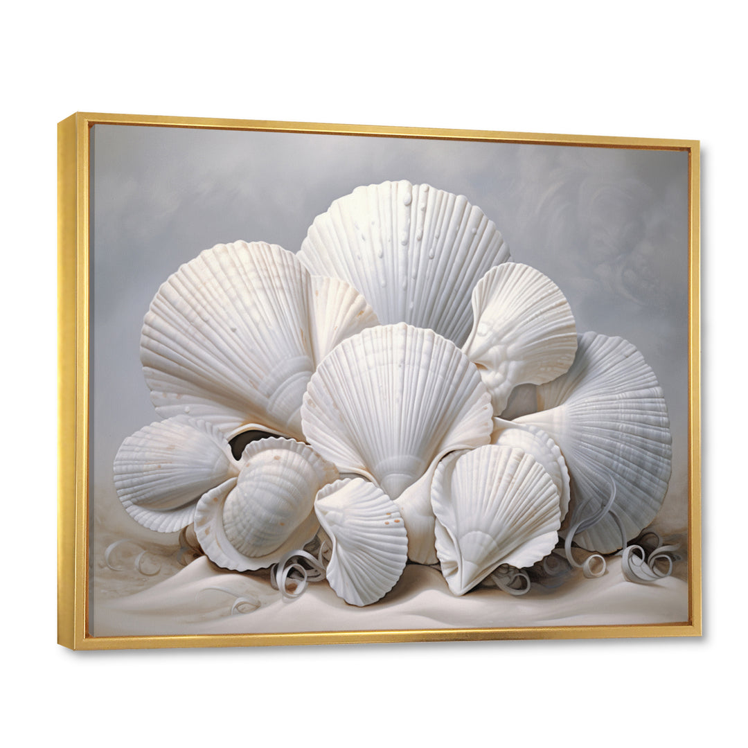 Monochromatic White Seashells - Seashell Home Decor Art