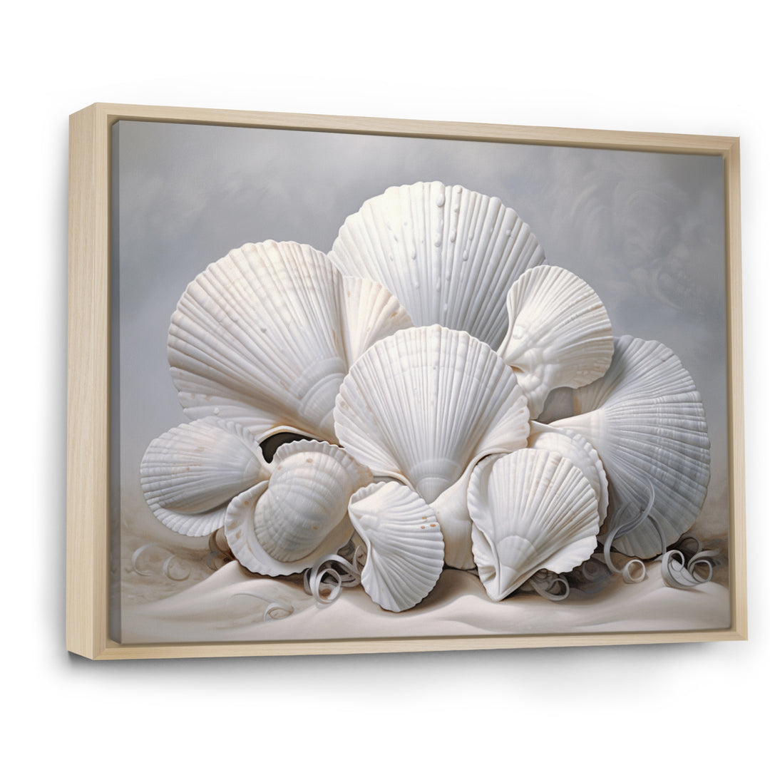 Monochromatic White Seashells - Seashell Home Decor Art