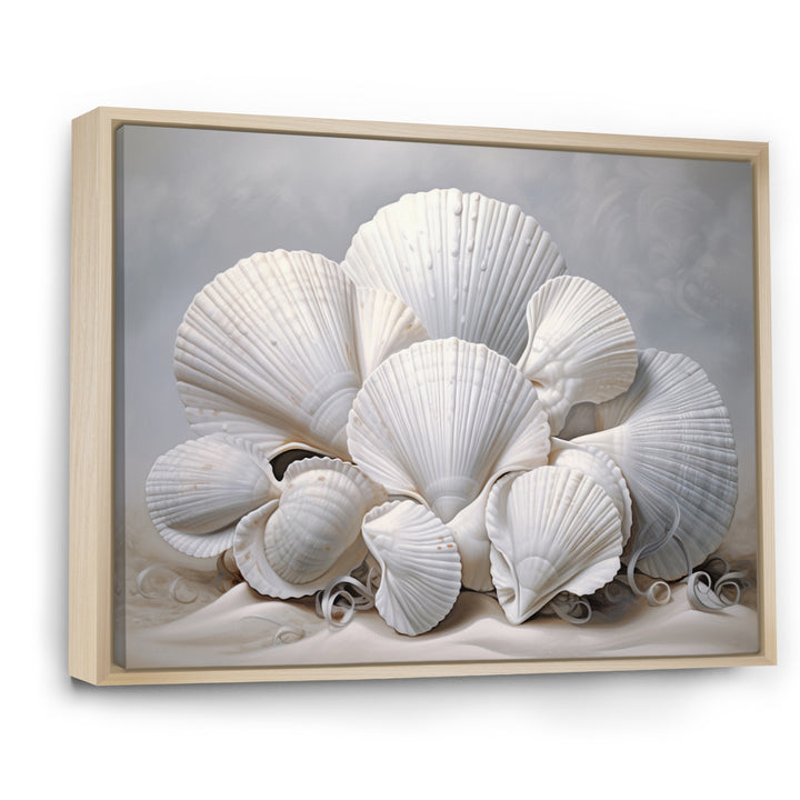 Monochromatic White Seashells - Seashell Home Decor Art