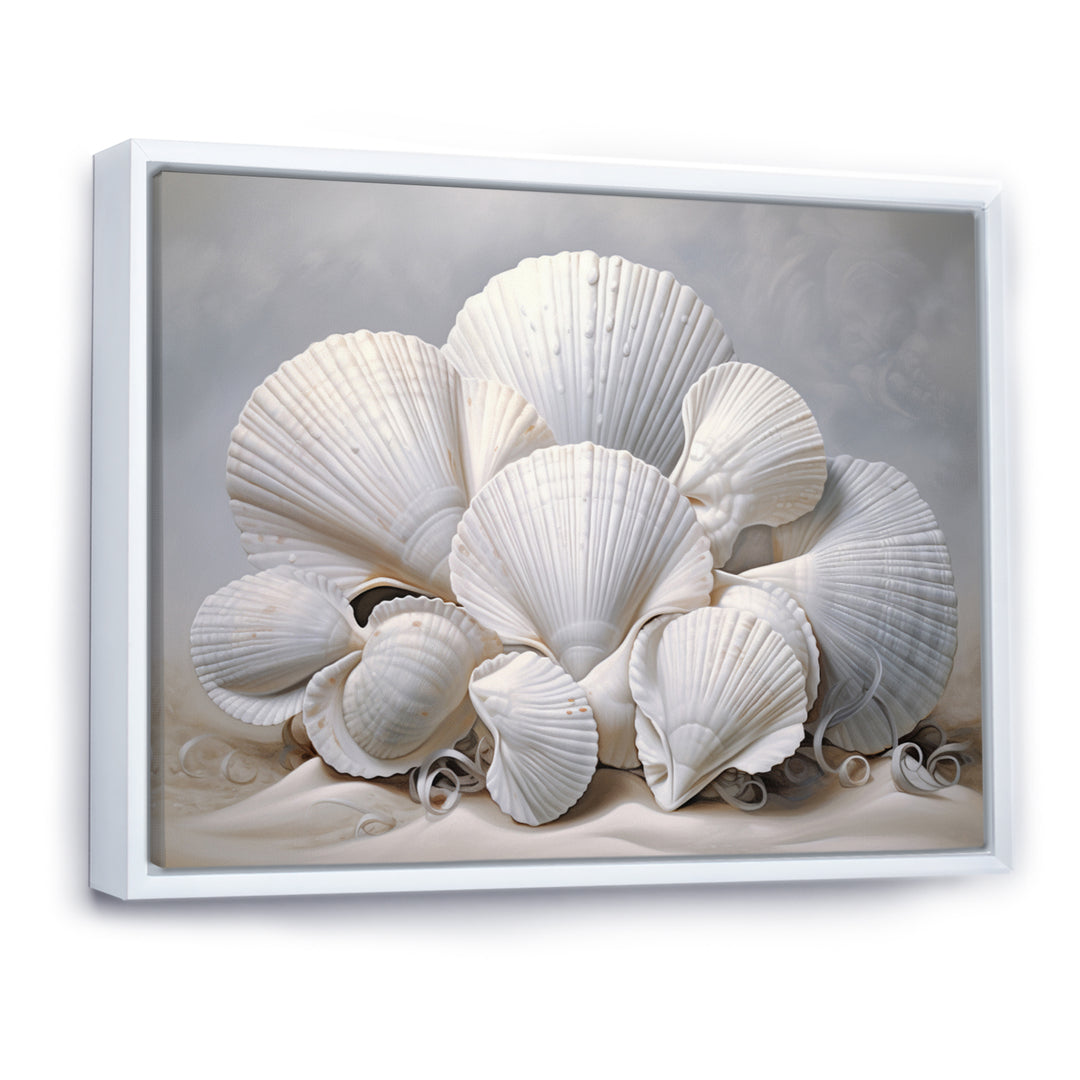 Monochromatic White Seashells - Seashell Home Decor Art