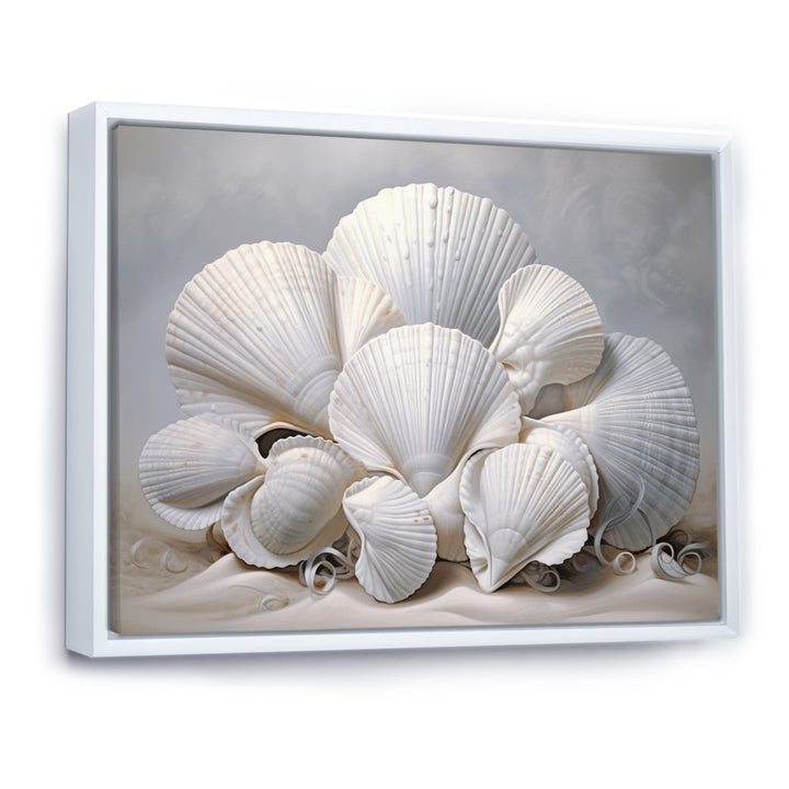Monochromatic White Seashells - Seashell Home Decor Art
