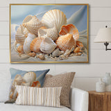 Photorealistic Seashells Collage - Seashell Canvas Wall Art