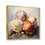 Realistic Seashells Collage - White Seashell Wall Art