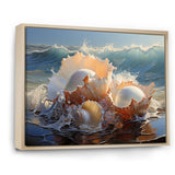 White Seashells On The Beach - Seashell Wall Decor