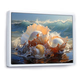 White Seashells On The Beach - Seashell Wall Decor