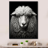Grey White Sheep Black And White - Sheep Wall Art Prints