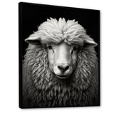 Grey White Sheep Black And White - Sheep Wall Art Prints