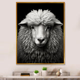 Grey White Sheep Black And White - Sheep Wall Art Prints