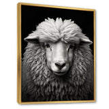 Grey White Sheep Black And White - Sheep Wall Art Prints