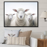 White Minimalist Whie Sheep's - Sheep Living Room Wall Art