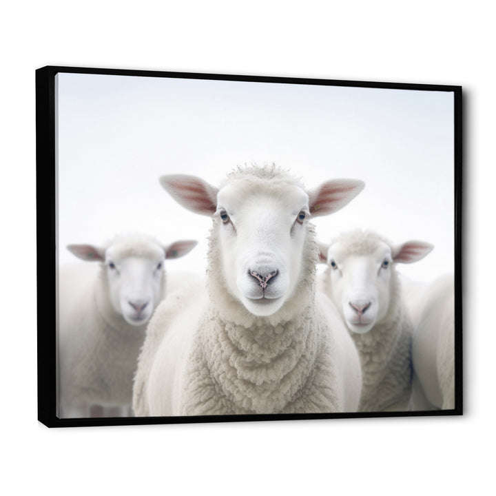 White Minimalist Whie Sheep&