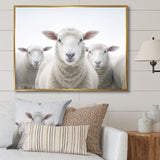 White Minimalist Whie Sheep's - Sheep Living Room Wall Art