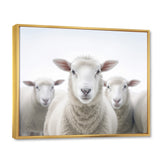 White Minimalist Whie Sheep's - Sheep Living Room Wall Art