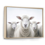 White Minimalist Whie Sheep's - Sheep Living Room Wall Art